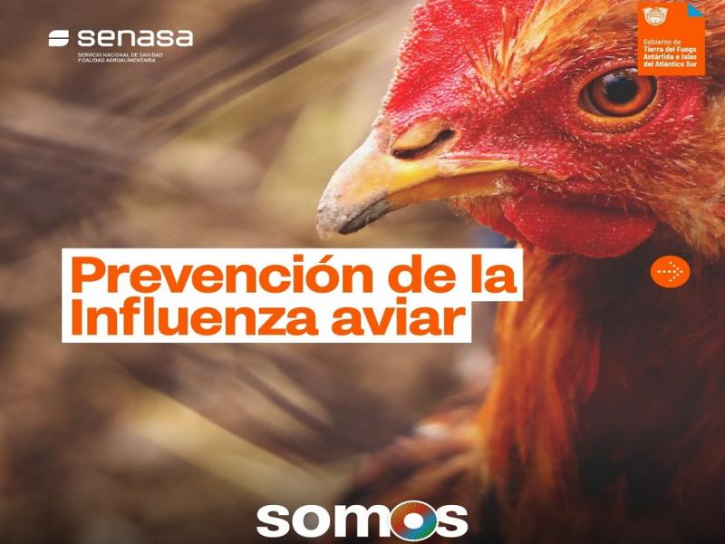 Las aves silvestres, principalmente migratorias, son el hospedero natural del virus (principalmente patos y gansos) y est siendo el principal factor de diseminacin a travs del continente.