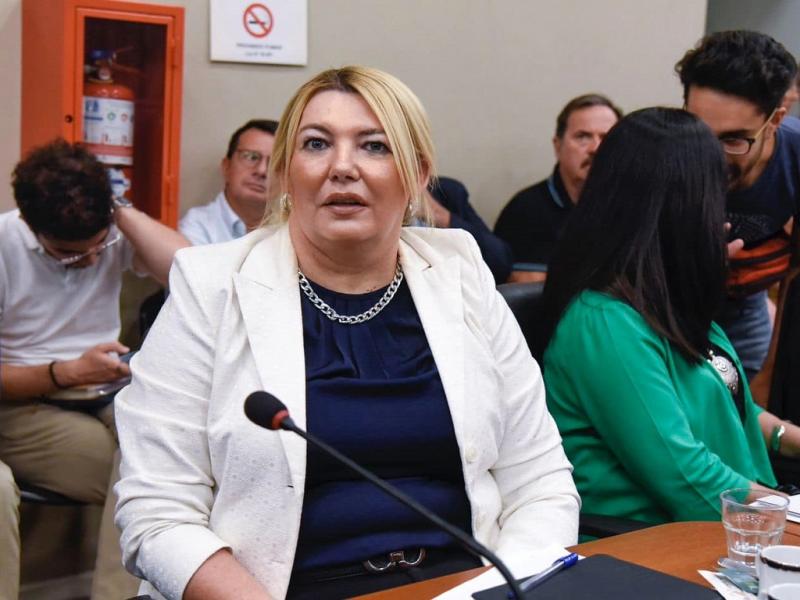 Bertone fue responsable de la represin, la persecusin y el ajuste, y fiel discpula en Tierra del Fuego del macrismo entre diciembre de 2015 y diciembre de 2019. Hoy pretende desembarcar en la Legislatura para seguir viviendo de la poltica.