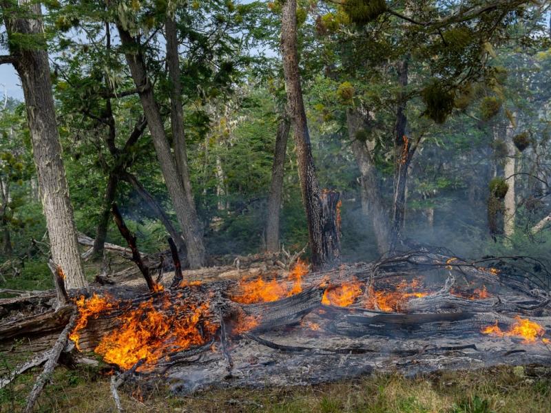 En Tolhuin tuvimos un incendio de interface, con viviendas cercanas al lugar donde se origin el mismo y donde debi intervenir personal de Defensa Civil, Polica Provincial, Bomberos Voluntarios, y de Manejo del Fuego, indic Paredes.
