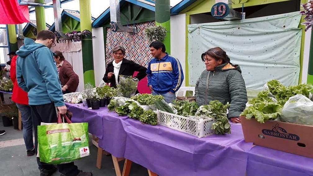El Programa Huertas Urbanas triplic la cantidad de participantes desde su inicio, llegando hoy a 38  productores con ms de 5.400 metros cuadrados dedicada a la produccin de la tierra, especialmente a lechuga, aunque ya se ha iniciado la experiencia con