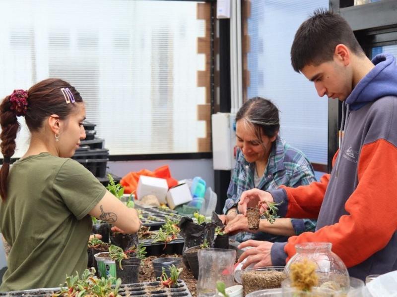 En el taller de huerta que se dicta en Casa de Jvenes, se aprende sobre germinacin, preparacin de la tierra, bioindicadores y a realizar remedios caseros en base al conocimiento adquirido.