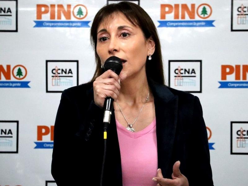 La pareja del Presidente del Concejo Deliberante de Ushuaia, Juan Carlos Pino, haba logrado en las elecciones municipales de mayo una banca en el Concejo Deliberante. Ahora jurar como Senadora Nacional en lugar de Matas Rodrguez.