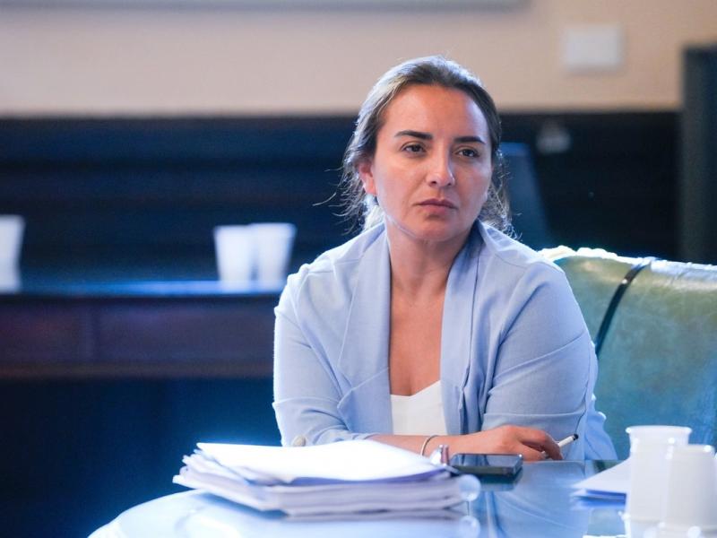 En todo acuerdo entre partes hacen falta elementos esenciales, la confianza y la coherencia, algo que ya nos demostr el Presidente de la Nacin que no tiene, resalt Andrea Freites.