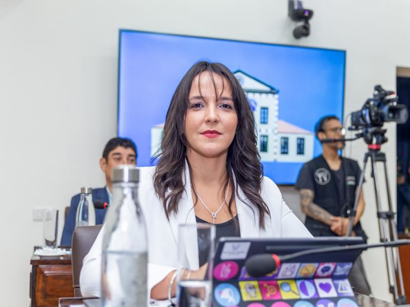 El proyecto presentado Victoria Vuoto dispone de la creacin de un servicio de salud mental ambulatorio de adolescentes con dos dispositivos de atencin: el dispositivo de atencin a la demanda espontnea, y el dispositivo ambulatorio.