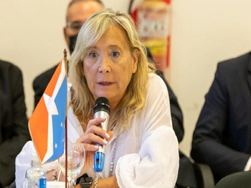 Hemos reclamado que los alimentos fueran distribuidos porque la gente los necesita, y nos pareca irracional que estuvieran guardados en un depsito, algunos con fecha de vencimiento en poco tiempo, remarc Adriana Chappern.