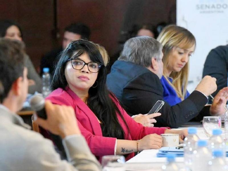 Lo haba solicitado en las Comisiones, tanto al Ministro Francos cuando vino a la primera Comisin, como al entonces Jefe de Gabinete Posse, record Eugenia Dur en su intervencin en el Senado de la Nacin.