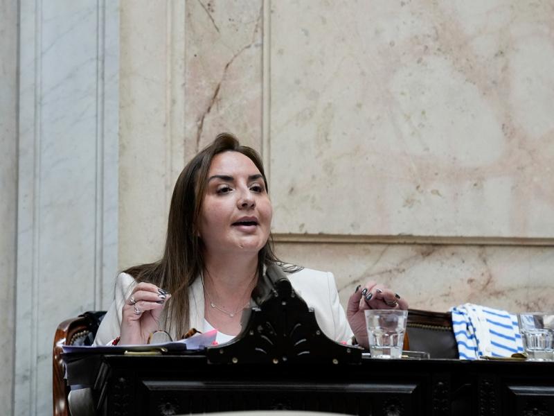 El mismo Presidente que ajusta a los que menos tienen es el que impulsa megaestafas en redes, corrupcin en el PAMI, y que pretende manejar a su antojo los recursos que necesitan nuestras provincias para crecer, seal Andrea Freites.