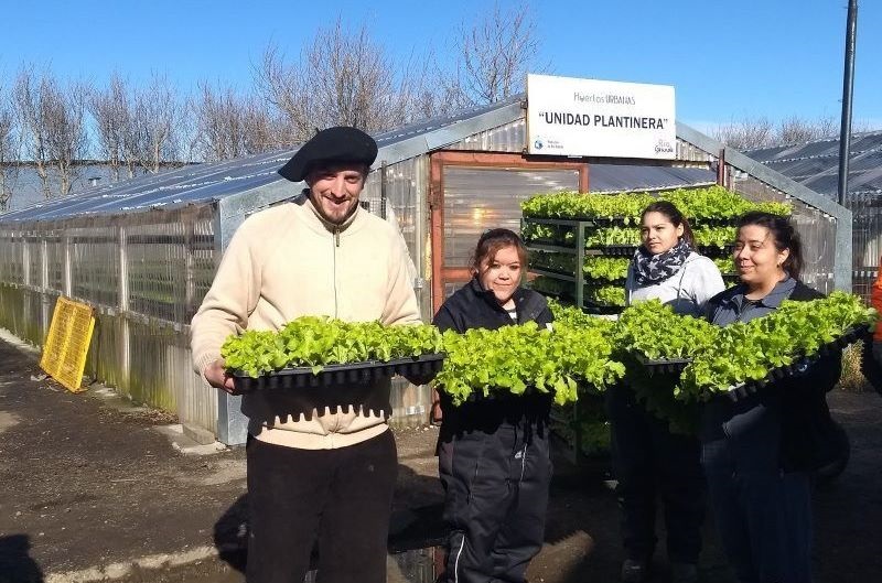 Cuando empezamos el Programa eran unos 14 productores, y hoy podemos celebrar que son ms de 60. Empezamos con 3 mil metros cuadrados, hoy hay ms de 12 mil, empezamos con una variedad de lechuga, hoy tenemos tres, destac la Secretaria de Produccin y 