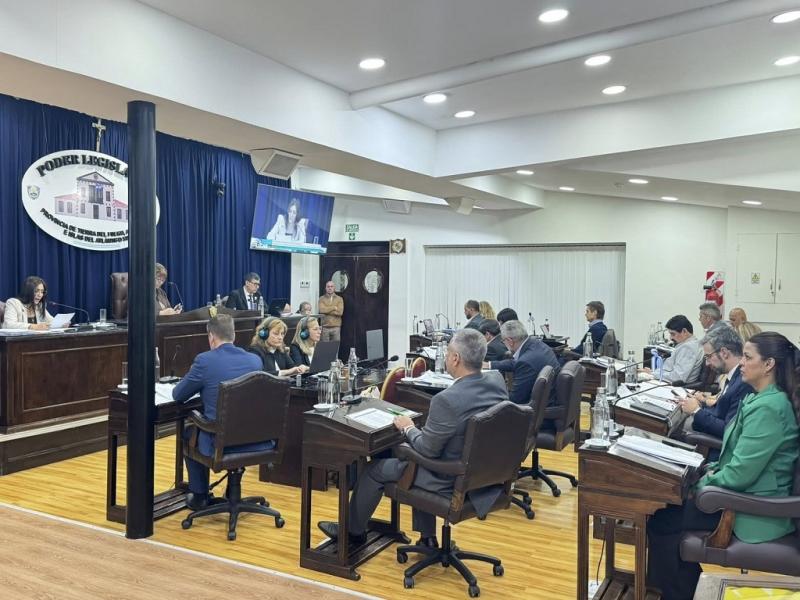 La definici�n del tema dej� en evidencia las divergencias que gener� puertas adentro del bloque oficialista y de la bancada del PJ, ya que Sciurano (FORJA) y Vuoto (PJ) votaron en disidencia de la postura mayoritaria de ambos bloques.