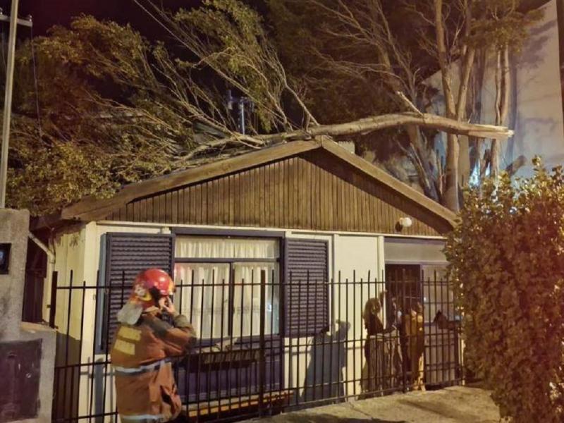 Las principales intervenciones estuvieron relacionadas con la caída de árboles sobre viviendas y tendido eléctrico, voladura de techos y daños en estructuras de viviendas habitadas.