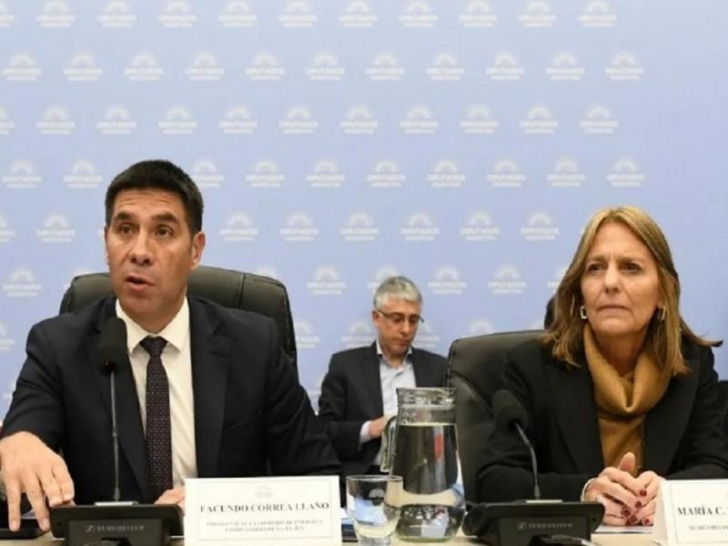 �Lo que queremos es que la gente que puede pagar la energ�a, lo pague, y la gente que no puede pagar la energ�a, se la siga ayudando, y focalizar los escasos recursos hacia esa gente�, dijo la Secretaria de Energ�a de la Naci�n, Carmen Tettamanti.