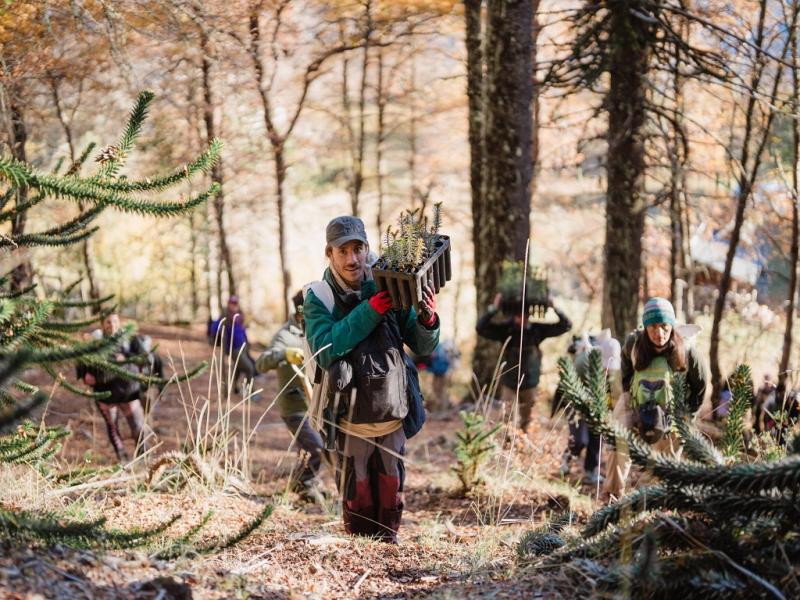 María Gómez Peracca alertó sobre el crecimiento de los incendios forestales en la región y aseguró que, “el cambio climático llegó para quedarse”, por lo que consideró clave fortalecer la prevención y la conciencia social.