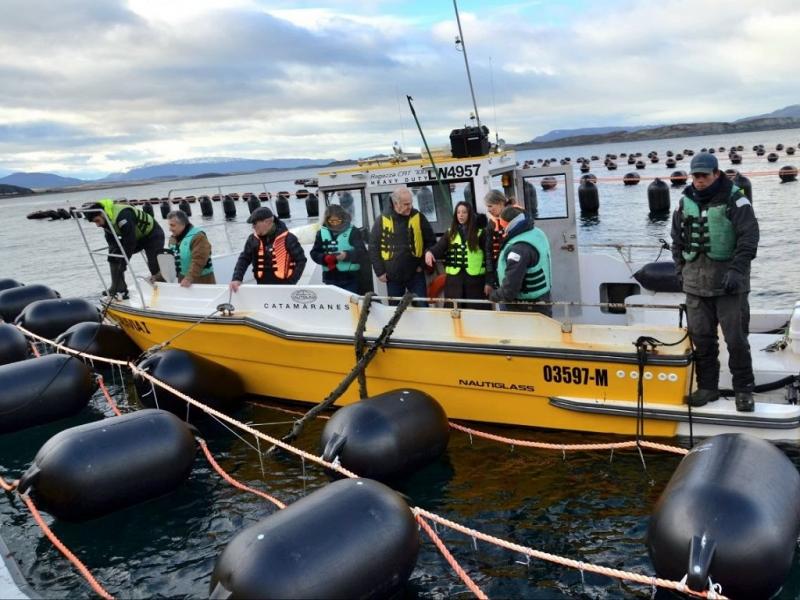 La segunda jornada tuvo lugar en Puerto Almanza, donde la comitiva conoci� el trabajo que desarrolla la empresa Newsan en el cultivo de mejillones.