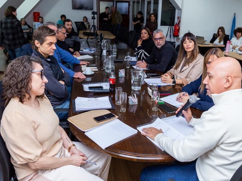 El cuerpo parlamentario prevé solicitar reuniones con el ex Subsecretario de Telecomunicaciones de la Nación, y con Directores del Ente Nacional de Comunicaciones (ENACOM), para precisar su participación en el proceso de autorización.
