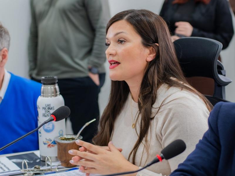 Con esta iniciativa, el Concejo busca asegurar que las familias fueguinas no vean afectado su acceso a un servicio esencial como el gas natural, indispensable para la calefacción en un territorio de condiciones climáticas extremas.