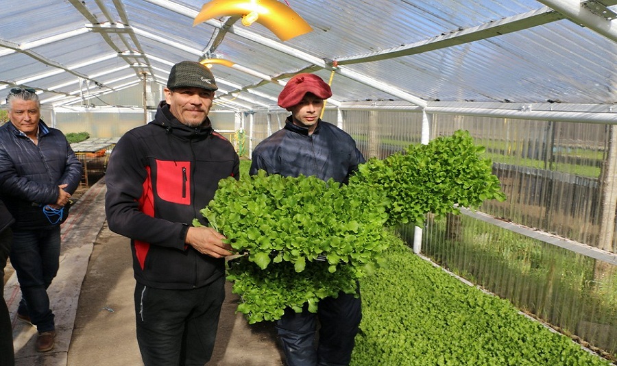 En esta tercera temporada contamos con ms de sesenta productores hortcolas con una superficie dedicada al programa de ms de 12.000m2 en toda la ciudad, destac Sonia Castiglione.